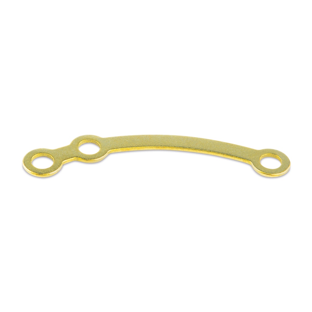 EickLoxx SPP® Sicherungsplatte L, gold  