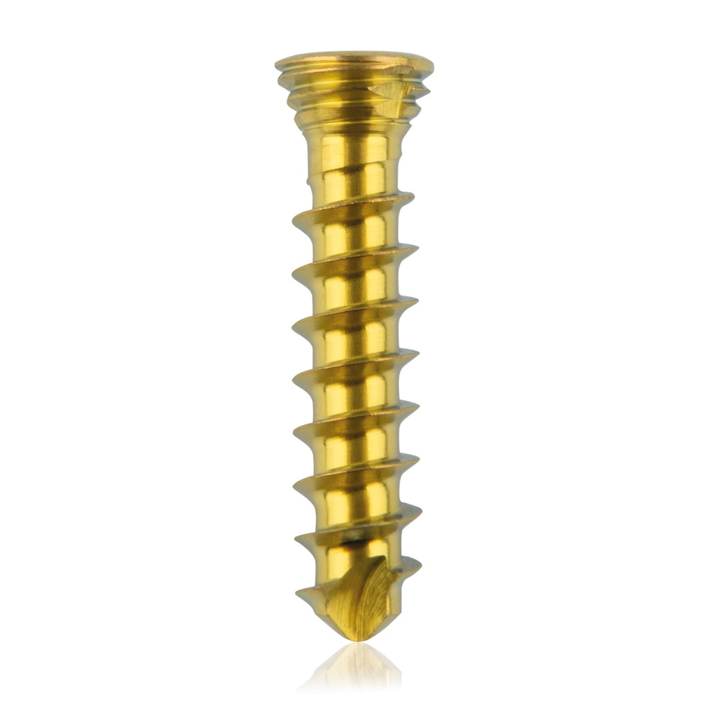 Titan-Verriegelungsschraube Ø2.3x 12 mm,multidirektional, gold, Torx 6, selbstschneidend, selbstbohrend