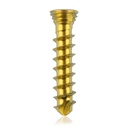 Titan-Verriegelungsschraube Ø2.3x 12 mm,multidirektional, gold, Torx 6, selbstschneidend, selbstbohrend