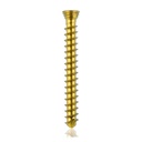 Titan-Verriegelungsschraube Ø2.3x 20 mm,multidirektional, gold, Torx 6, selbstschneidend, selbstbohrend