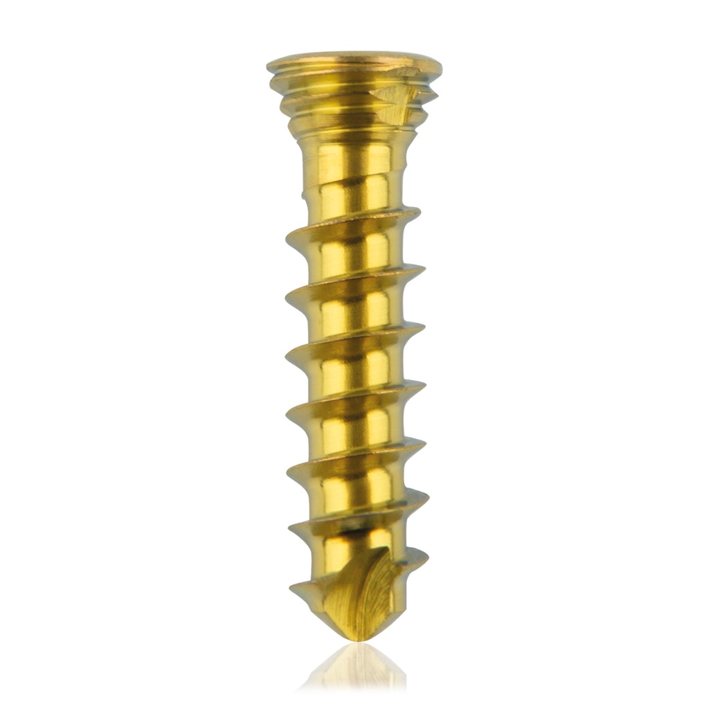 Titan-Verriegelungsschraube Ø2.3x10 mm,multidirektional, gold, Torx 6, selbstschneidend, selbstbohrend