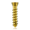 Titan-Verriegelungsschraube Ø2.3x10 mm,multidirektional, gold, Torx 6, selbstschneidend, selbstbohrend