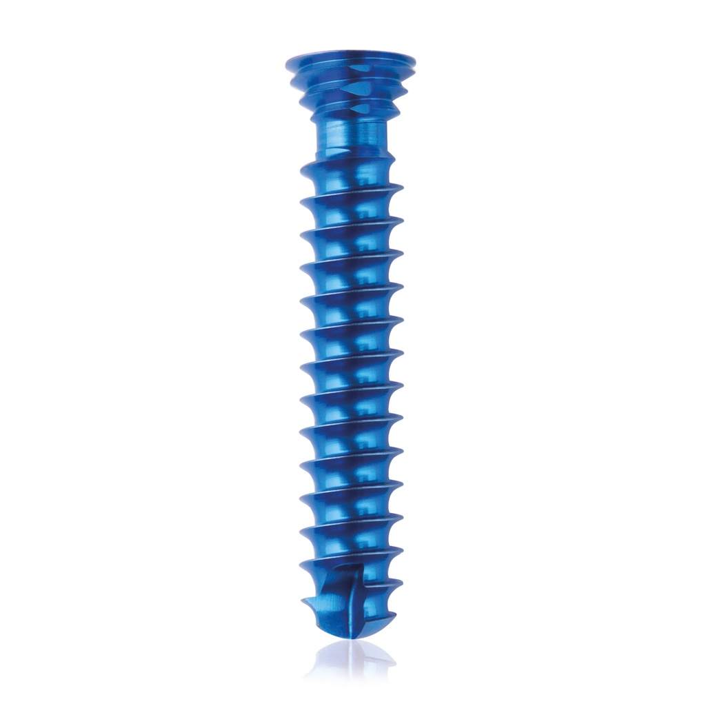 Titan-Verriegelungsschraube Ø4x 22 mm,  multidirektional, blau, Torx 10, selbstbohrend, selbsschneidend