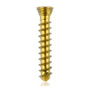 Titan-Verriegelungsschraube, Ø2.3x14 mm,multidirektional, gold, Torx 6, selbstschneidend, selbstbohrend