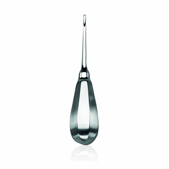 Wurzelheber Lindo-Levien, 13,5 cm, 3 mm, gezahnt 