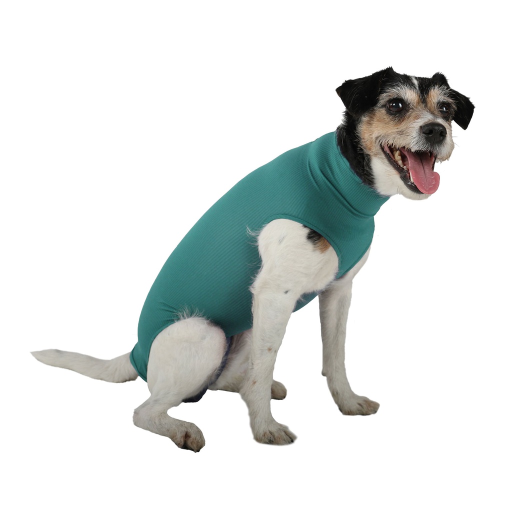 VetMedCare® Dog Body Größe XXXS unisex