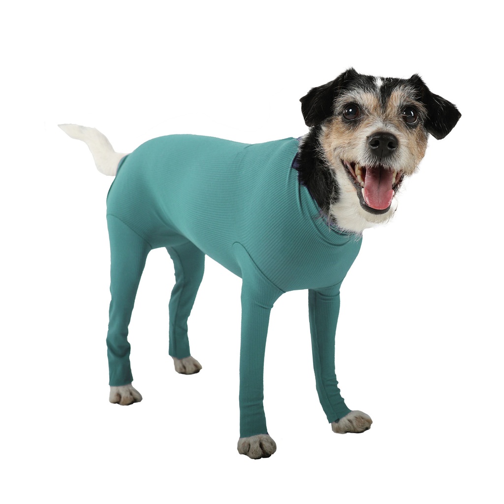 VetMedCare® Dog Body mit Beinen Größe XXXS unisex