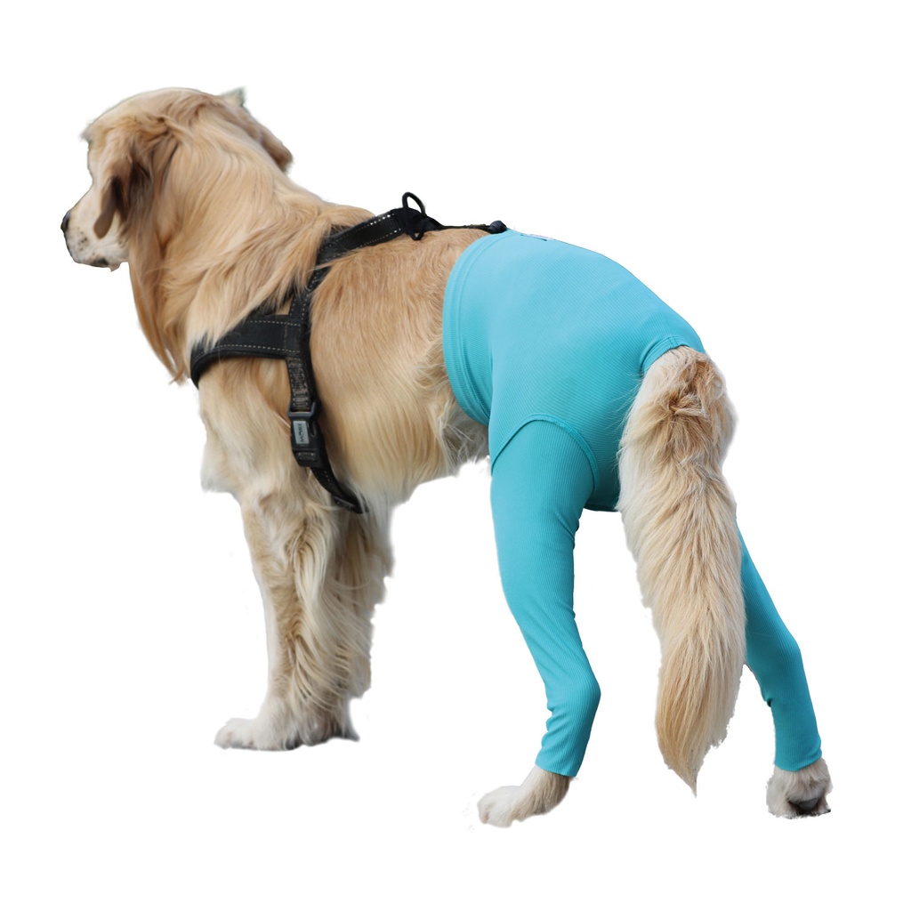 VetMedCare® Safety Pants Größe XS/S