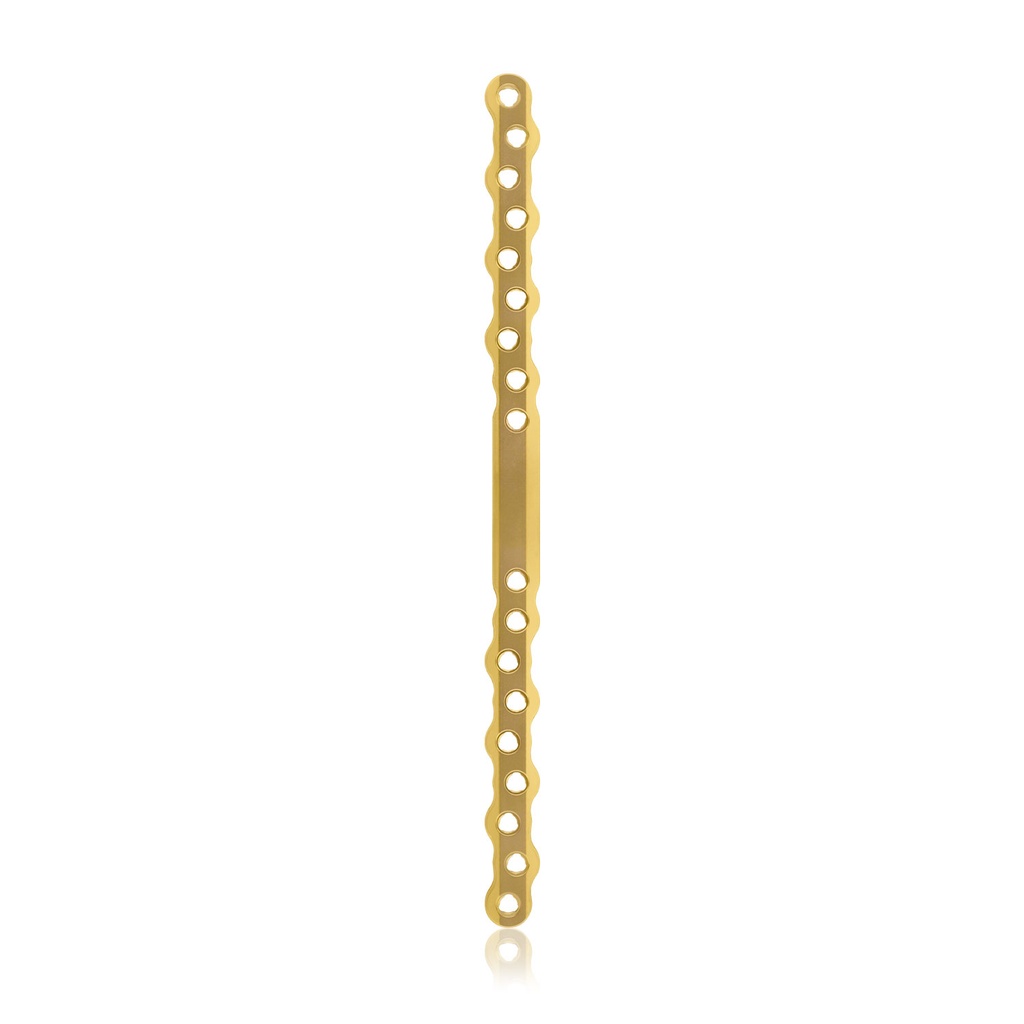 EickLoxx S-Typ Knochenplatte 18-Loch, 210 x 12 x 4,5 mm, Titan gold