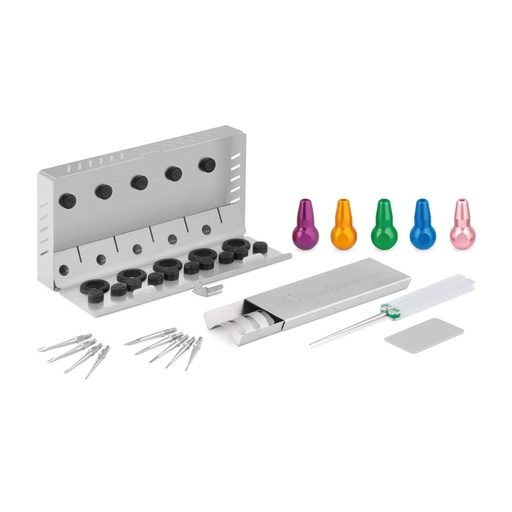 [175070] DENTANOMIC Set – Gold, bestehend aus 5 Standard Handgriffen (lila, orange, grün, blau und rosa) + Elevator- und Luxator-Klingen Set (9 Stück) + Aufbewahrungsrack + Schleifset + Sterilisationsbehälter