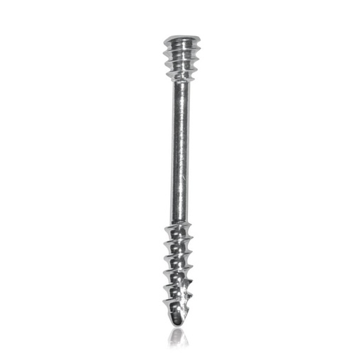 [185815] Headless Compression Lag Screw Large - 2 mm / 2,7 mm L = 25 mm