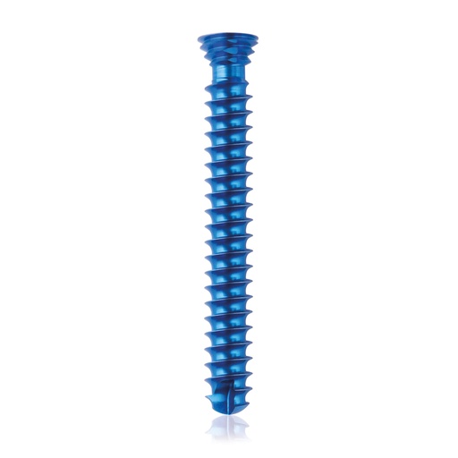 [185462] Titan-Verriegelungsschraube  Ø4x 30 mm,multidirektional, blau Torx 10 